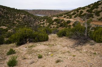 Santa Cruz Lake, New Mexico