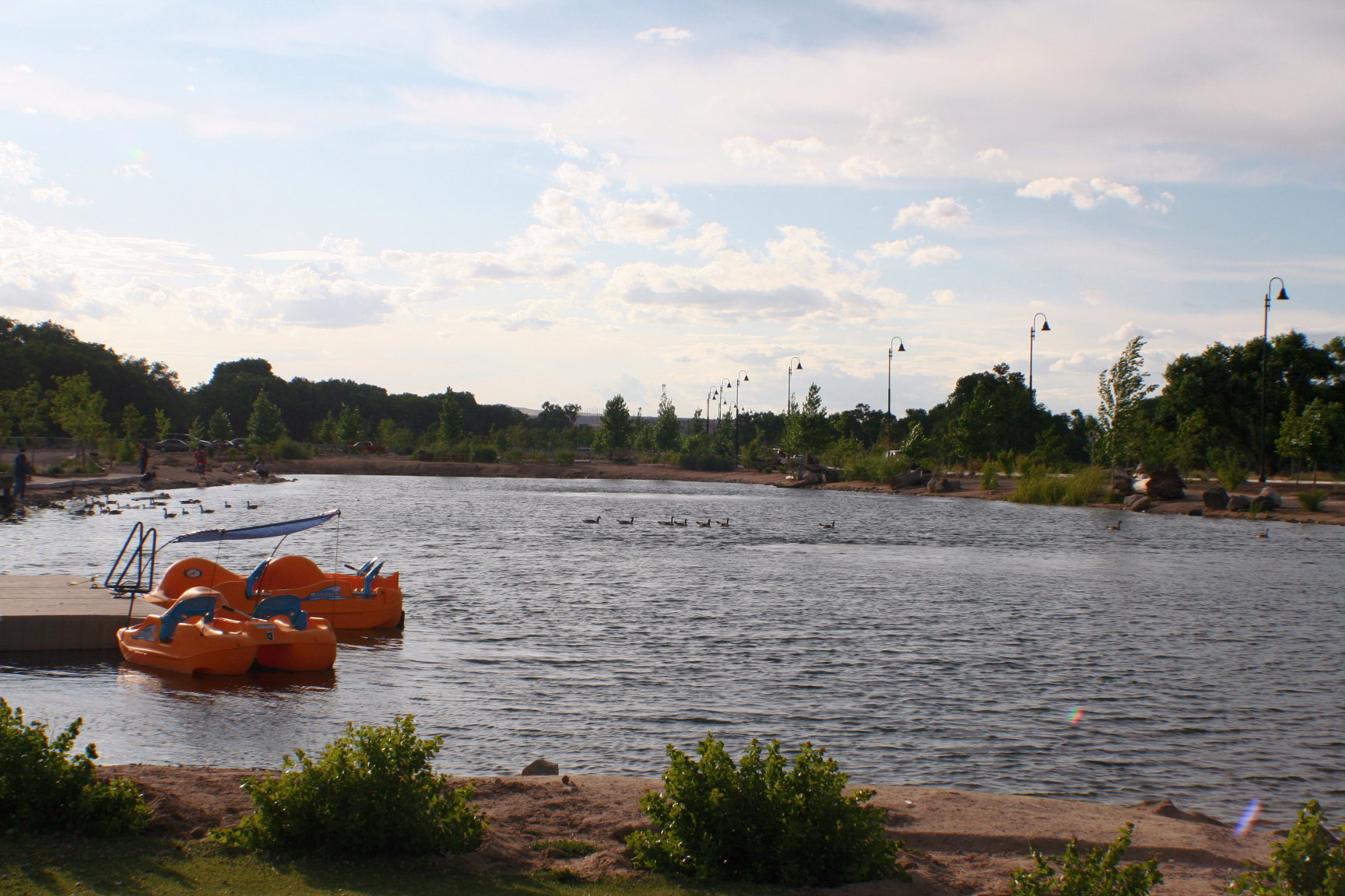Pedal boats at Tingley Beach, Albuquerque, New Mexico