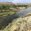 The San Juan River trout tailwater below Navajo Dam, New Mexico