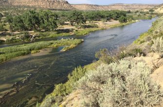 The San Juan River trout tailwater below Navajo Dam, New Mexico
