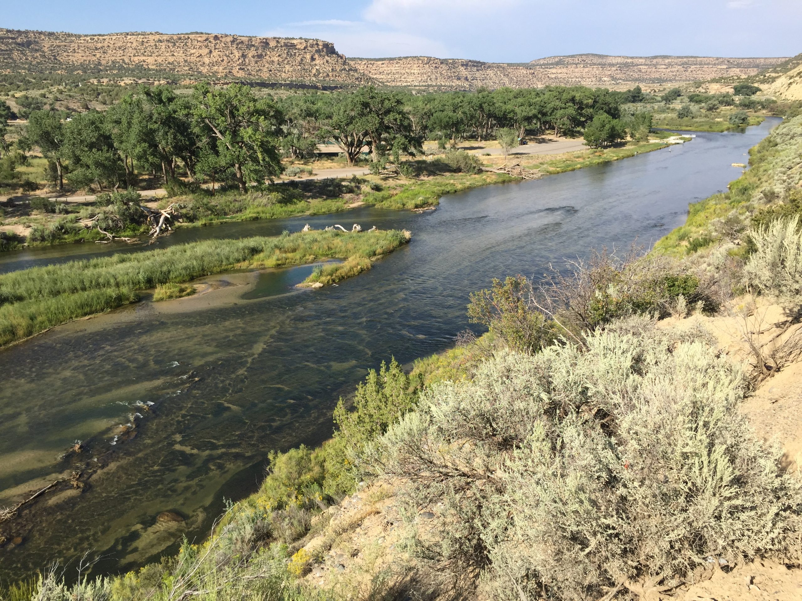 The San Juan River trout tailwater below Navajo Dam, New Mexico