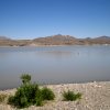 Caballo Lake, New Mexico